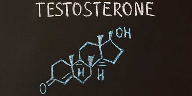 formula da testosterona natural